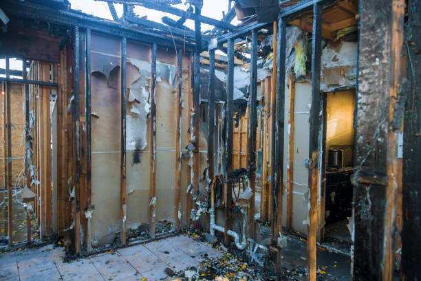 Professional Fire Damage Removal technician working in Palm Harbor, FL