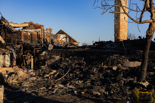Reliable Fire Damage Removal contractor in Palm Harbor, FL by Fire Damage Flint
