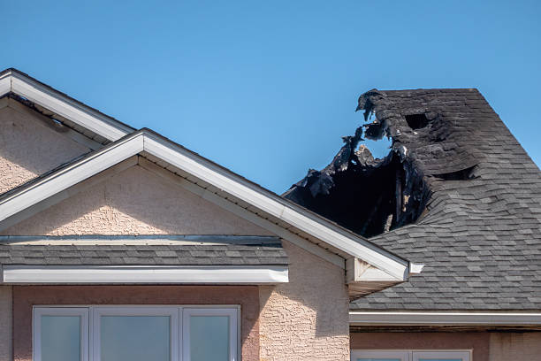 Top rated local Fire Damage Removal specialists in Palm Harbor, FL
